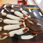 09.04.2019 Oblęgorek. Wystawa.  American dream. Pierwsza wielka podróż Henryka Sienkiewicza / Jarosław Kubalski / Radio Kielce