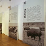 09.04.2019 Oblęgorek. Wystawa.  American dream. Pierwsza wielka podróż Henryka Sienkiewicza / Jarosław Kubalski / Radio Kielce