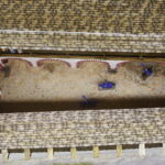 17.04.2019 Chęciny. Niemczówka. Makieta zamku chęcińskiego / Jarosław Kubalski / Radio Kielce