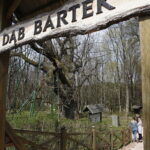 21.04.2019 Zagnańsk - Samsonów. Dąb Bartek i jego okolica / Jarosław Kubalski / Radio Kielce