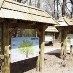 21.04.2019 Zagnańsk - Samsonów. Dąb Bartek i jego okolica / Jarosław Kubalski / Radio Kielce