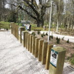 21.04.2019 Zagnańsk - Samsonów. Dąb Bartek i jego okolica / Jarosław Kubalski / Radio Kielce