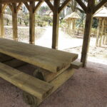 21.04.2019 Zagnańsk - Samsonów. Dąb Bartek i jego okolica / Jarosław Kubalski / Radio Kielce