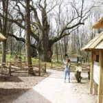 21.04.2019 Zagnańsk - Samsonów. Dąb Bartek i jego okolica / Jarosław Kubalski / Radio Kielce