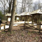 21.04.2019 Zagnańsk - Samsonów. Dąb Bartek i jego okolica / Jarosław Kubalski / Radio Kielce