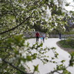 22.04.2019 Kielce. Kadzielnia. Spacer / Jarosław Kubalski / Radio Kielce