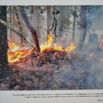 Wystawa zdjęć „Polska solidarna w Europie. Polscy strażacy w Szwecji” / Mateusz Kaczmarczyk / Radio Kielce