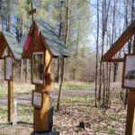 Leśna Droga Krzyżowa / Anna Głąb / Radio Kielce