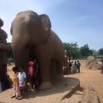 Indie / Kamila Bodo i Dinesh Sampath / Radio Kielce