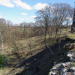 Międzygórz, gm. Lipnik. Ruiny zamku / Emilia Sitarska / Radio Kielce