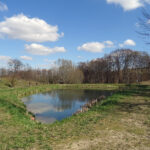 Międzygórz, gm. Lipnik. Ruiny zamku / Emilia Sitarska / Radio Kielce