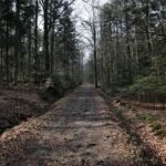 Święta Katarzyna - Nowa Słupia. Szlak „Śladem świętokrzyskiej kolejki wąskotorowej” / Marzena Mąkosa / Radio Kielce