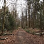 Święta Katarzyna - Nowa Słupia. Szlak „Śladem świętokrzyskiej kolejki wąskotorowej” / Marzena Mąkosa / Radio Kielce