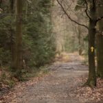 Święta Katarzyna - Nowa Słupia. Szlak „Śladem świętokrzyskiej kolejki wąskotorowej” / Marzena Mąkosa / Radio Kielce