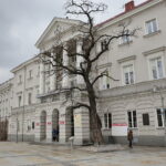 Urząd Miasta Kielce / Marzena Mąkosa / Radio Kielce