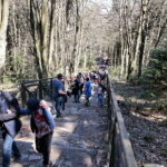 Nowa Słupia. Droga Krzyżowa na Święty Krzyż / Marzena Mąkosa / Radio Kielce