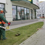 Wiosenne koszenie traw / Marzena Mąkosa / Radio Kielce