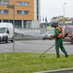 Wiosenne koszenie traw / Marzena Mąkosa / Radio Kielce