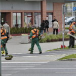 Wiosenne koszenie traw / Marzena Mąkosa / Radio Kielce