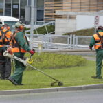 Wiosenne koszenie traw / Marzena Mąkosa / Radio Kielce