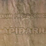 Otwarcie Lapidarium / Marzena Mąkosa / Radio Kielce