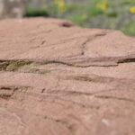 Otwarcie Lapidarium / Marzena Mąkosa / Radio Kielce