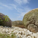 Otwarcie Lapidarium / Marzena Mąkosa / Radio Kielce