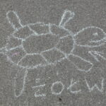 Kredowisko na terenie Fabryki Piasku znajdującej się obok Alei Sław i Skweru Harcerskiego imienia Szarych Szeregów / Marzena Mąkosa / Radio Kielce