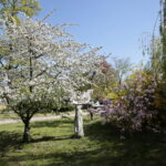 Kwiaty w Kielcach / Marzena Mąkosa / Radio Kielce