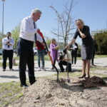 Zarząd Województwa Świętokrzyskiego włączył się w akcję Bijemy Zielony Rekord Polski! Obok Urzędu Marszałkowskiego, przy budynku dawnej biblioteki marszałek Andrzej Bętkowski, wicemarszałek Renata Janik oraz członkowie Zarządu Województwa Marek Jońca, Marek Bogusławski i Mariusz Gosek posadzili  5 migdałowców różowych / Marzena Mąkosa / Radio Kielce