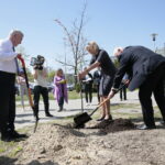 Zarząd Województwa Świętokrzyskiego włączył się w akcję Bijemy Zielony Rekord Polski! Obok Urzędu Marszałkowskiego, przy budynku dawnej biblioteki marszałek Andrzej Bętkowski, wicemarszałek Renata Janik oraz członkowie Zarządu Województwa Marek Jońca, Marek Bogusławski i Mariusz Gosek posadzili  5 migdałowców różowych / Marzena Mąkosa / Radio Kielce
