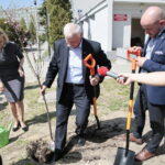 Zarząd Województwa Świętokrzyskiego włączył się w akcję Bijemy Zielony Rekord Polski! Obok Urzędu Marszałkowskiego, przy budynku dawnej biblioteki marszałek Andrzej Bętkowski, wicemarszałek Renata Janik oraz członkowie Zarządu Województwa Marek Jońca, Marek Bogusławski i Mariusz Gosek posadzili  5 migdałowców różowych / Marzena Mąkosa / Radio Kielce