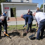 Zarząd Województwa Świętokrzyskiego włączył się w akcję Bijemy Zielony Rekord Polski! Obok Urzędu Marszałkowskiego, przy budynku dawnej biblioteki marszałek Andrzej Bętkowski, wicemarszałek Renata Janik oraz członkowie Zarządu Województwa Marek Jońca, Marek Bogusławski i Mariusz Gosek posadzili  5 migdałowców różowych / Marzena Mąkosa / Radio Kielce