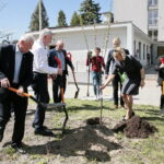 Zarząd Województwa Świętokrzyskiego włączył się w akcję Bijemy Zielony Rekord Polski! Obok Urzędu Marszałkowskiego, przy budynku dawnej biblioteki marszałek Andrzej Bętkowski, wicemarszałek Renata Janik oraz członkowie Zarządu Województwa Marek Jońca, Marek Bogusławski i Mariusz Gosek posadzili  5 migdałowców różowych / Marzena Mąkosa / Radio Kielce