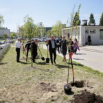 Zarząd Województwa Świętokrzyskiego włączył się w akcję Bijemy Zielony Rekord Polski! Obok Urzędu Marszałkowskiego, przy budynku dawnej biblioteki marszałek Andrzej Bętkowski, wicemarszałek Renata Janik oraz członkowie Zarządu Województwa Marek Jońca, Marek Bogusławski i Mariusz Gosek posadzili  5 migdałowców różowych / Marzena Mąkosa / Radio Kielce