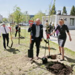 Zarząd Województwa Świętokrzyskiego włączył się w akcję Bijemy Zielony Rekord Polski! Obok Urzędu Marszałkowskiego, przy budynku dawnej biblioteki marszałek Andrzej Bętkowski, wicemarszałek Renata Janik oraz członkowie Zarządu Województwa Marek Jońca, Marek Bogusławski i Mariusz Gosek posadzili  5 migdałowców różowych / Marzena Mąkosa / Radio Kielce