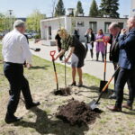 Zarząd Województwa Świętokrzyskiego włączył się w akcję Bijemy Zielony Rekord Polski! Obok Urzędu Marszałkowskiego, przy budynku dawnej biblioteki marszałek Andrzej Bętkowski, wicemarszałek Renata Janik oraz członkowie Zarządu Województwa Marek Jońca, Marek Bogusławski i Mariusz Gosek posadzili  5 migdałowców różowych / Marzena Mąkosa / Radio Kielce