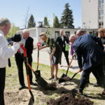 Zarząd Województwa Świętokrzyskiego włączył się w akcję Bijemy Zielony Rekord Polski! Obok Urzędu Marszałkowskiego, przy budynku dawnej biblioteki marszałek Andrzej Bętkowski, wicemarszałek Renata Janik oraz członkowie Zarządu Województwa Marek Jońca, Marek Bogusławski i Mariusz Gosek posadzili  5 migdałowców różowych / Marzena Mąkosa / Radio Kielce