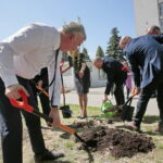 Zarząd Województwa Świętokrzyskiego włączył się w akcję Bijemy Zielony Rekord Polski! Obok Urzędu Marszałkowskiego, przy budynku dawnej biblioteki marszałek Andrzej Bętkowski, wicemarszałek Renata Janik oraz członkowie Zarządu Województwa Marek Jońca, Marek Bogusławski i Mariusz Gosek posadzili  5 migdałowców różowych / Marzena Mąkosa / Radio Kielce