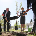 Zarząd Województwa Świętokrzyskiego włączył się w akcję Bijemy Zielony Rekord Polski! Obok Urzędu Marszałkowskiego, przy budynku dawnej biblioteki marszałek Andrzej Bętkowski, wicemarszałek Renata Janik oraz członkowie Zarządu Województwa Marek Jońca, Marek Bogusławski i Mariusz Gosek posadzili  5 migdałowców różowych / Marzena Mąkosa / Radio Kielce