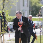 Zarząd Województwa Świętokrzyskiego włączył się w akcję Bijemy Zielony Rekord Polski! Obok Urzędu Marszałkowskiego, przy budynku dawnej biblioteki marszałek Andrzej Bętkowski, wicemarszałek Renata Janik oraz członkowie Zarządu Województwa Marek Jońca, Marek Bogusławski i Mariusz Gosek posadzili  5 migdałowców różowych / Marzena Mąkosa / Radio Kielce