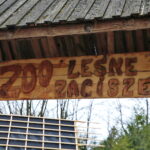 ZOO Leśne Zacisze w Lisowie / Marzena Mąkosa / Radio Kielce