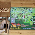 ZOO Leśne Zacisze w Lisowie / Marzena Mąkosa / Radio Kielce