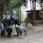 ZOO Leśne Zacisze w Lisowie / Marzena Mąkosa / Radio Kielce