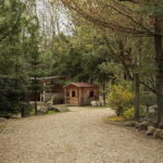 ZOO Leśne Zacisze w Lisowie / Marzena Mąkosa / Radio Kielce