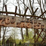 ZOO Leśne Zacisze w Lisowie / Marzena Mąkosa / Radio Kielce