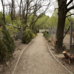 ZOO Leśne Zacisze w Lisowie / Marzena Mąkosa / Radio Kielce