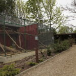 ZOO Leśne Zacisze w Lisowie / Marzena Mąkosa / Radio Kielce