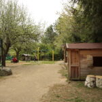 ZOO Leśne Zacisze w Lisowie / Marzena Mąkosa / Radio Kielce