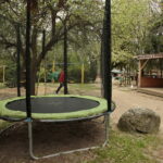 ZOO Leśne Zacisze w Lisowie / Marzena Mąkosa / Radio Kielce